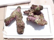 画像1: No.14 オーストラリア産 ブランチロック　約4.1ｋｇ (1)