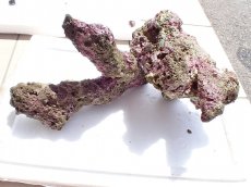 画像2: No.14 オーストラリア産 ブランチロック　約4.1ｋｇ (2)