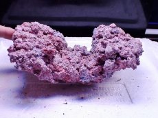 画像3: No.6 人工ライブロック0.65kg (3)