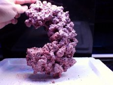 画像3: No.10 人工ライブロック 0.8kg (3)