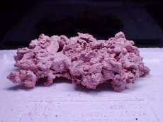 画像1: No.4 人工ライブロック 0.6kg (1)