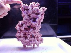 画像2: No.4 人工ライブロック 0.6kg (2)