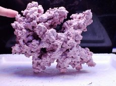 画像2: No.5 人工ライブロック 0.6kg (2)