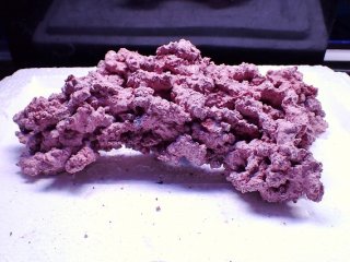 No.7 人工ライブロック 0.85kgを買うならアクアスタイルユー 大阪の