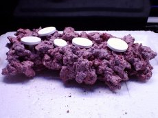 画像2: No.8 人工ライブロック 0.95kg (2)