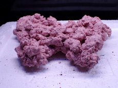 画像1: No.9 人工ライブロック 0.9kg (1)