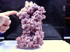 画像3: No.10 人工ライブロック 0.8kg (3)