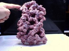 画像3: No.12 人工ライブロック 0.75kg (3)