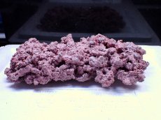 画像2: No.10 人工ライブロック 0.8kg (2)