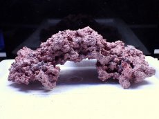 画像1: No.11 人工ライブロック 0.9kg (1)
