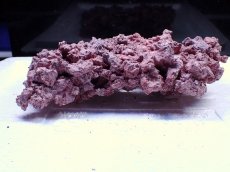 画像2: No.12 人工ライブロック 0.75kg (2)
