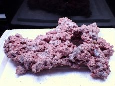 画像1: No.14 人工ライブロック 1kg (1)