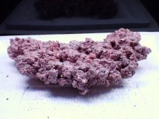画像2: No.15 人工ライブロック 0.6kg (2)