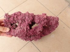 画像4: No.2　オリジナルレイアウトロック　写真個体販売 (4)
