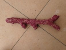 画像2: No.6　オリジナルレイアウトロック　写真個体販売 (2)