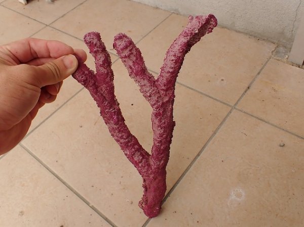 No.7 オリジナルレイアウトロック 写真個体販売を買うならアクア