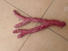 画像3: No.7　オリジナルレイアウトロック　写真個体販売 (3)