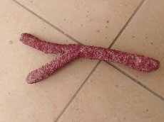 画像1: No.8　オリジナルレイアウトロック　写真個体販売 (1)