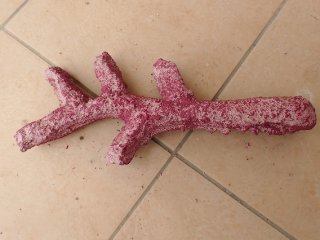 No.12 ライブロック 二個セット 海藻など付き 約1.7kgを買うなら