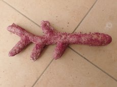 画像3: No.11　オリジナルレイアウトロック　写真個体販売 (3)