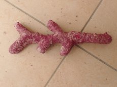 画像3: No.12　オリジナルレイアウトロック　写真個体販売 (3)