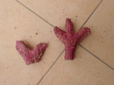 画像3: No.13　オリジナルレイアウトロック　写真個体販売 (3)