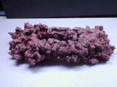 画像1: No.17 人工ライブロック 約0.65kg (1)