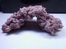 画像1: No.18 人工ライブロック 約0.9kg (1)