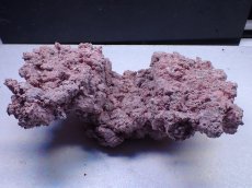 画像2: No.18 人工ライブロック 約0.9kg (2)