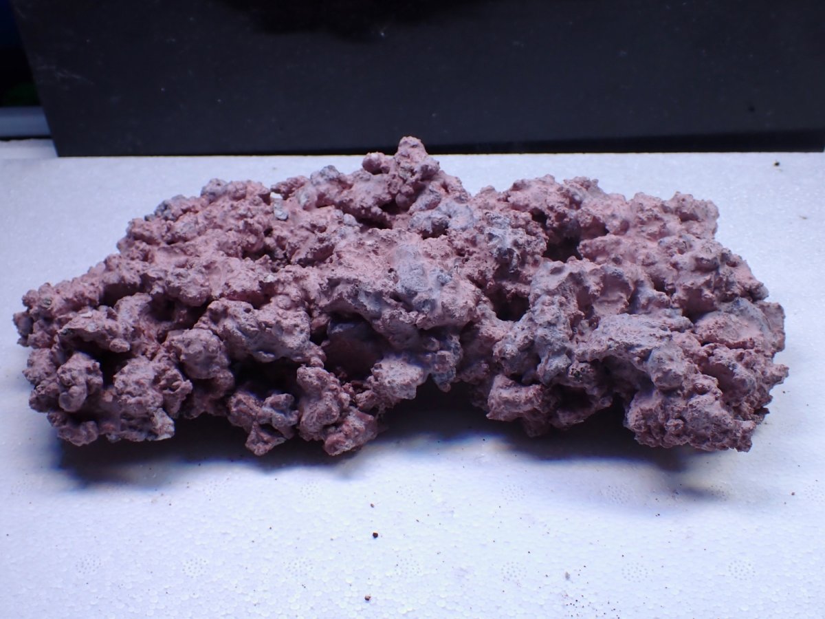 画像1: No.19 人工ライブロック 約0.9kg (1)