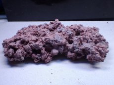 画像1: No.19 人工ライブロック 約0.9kg (1)