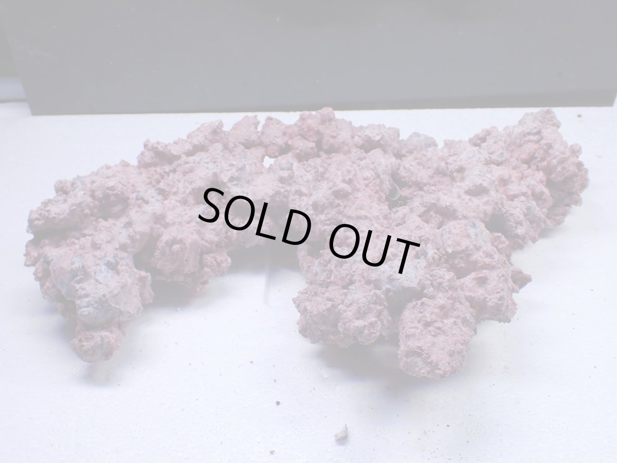 画像1: No.21 人工ライブロック 約0.9kg (1)