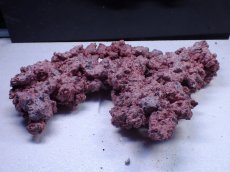 画像1: No.21 人工ライブロック 約0.9kg (1)