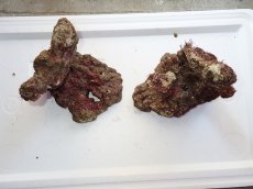 画像2: No.4 ライブロック　二個セット　海藻など付き　約2ｋｇ　　【人気No.1】 (2)