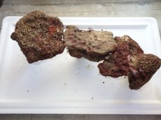 画像2: No.5 ライブロック　三個セット　海藻など付き　約3.3ｋｇ　　【人気No.1】 (2)