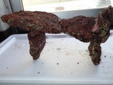 画像3: No.6 ライブロック　二個セット　海藻など付き　約2.3ｋｇ　　【人気No.1】 (3)