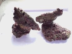 画像1: No.3 オリジナルライブロック ２個セット 約1.7ｋｇ　　【人気No.1】 (1)