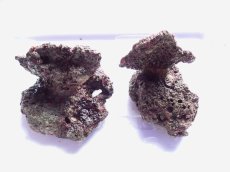 画像1: No.4 オリジナルライブロック ２個セット 約1.7ｋｇ　　【人気No.1】 (1)