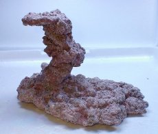 画像2: No.1 人工ライブロック 約0.7kg (2)