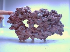 画像2: No.2 人工ライブロック 約0.85kg (2)