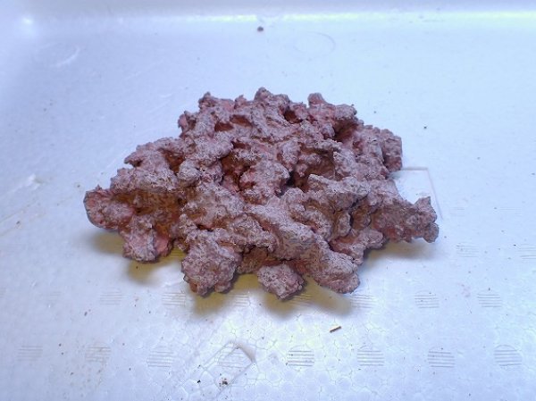 No.6 人工ライブロック 約0.3kgを買うならアクアスタイルユー 大阪の