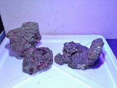 画像1: No.6 ライブロック　二個セット　海藻など付き　約2.4ｋｇ　　【人気No.1】 (1)