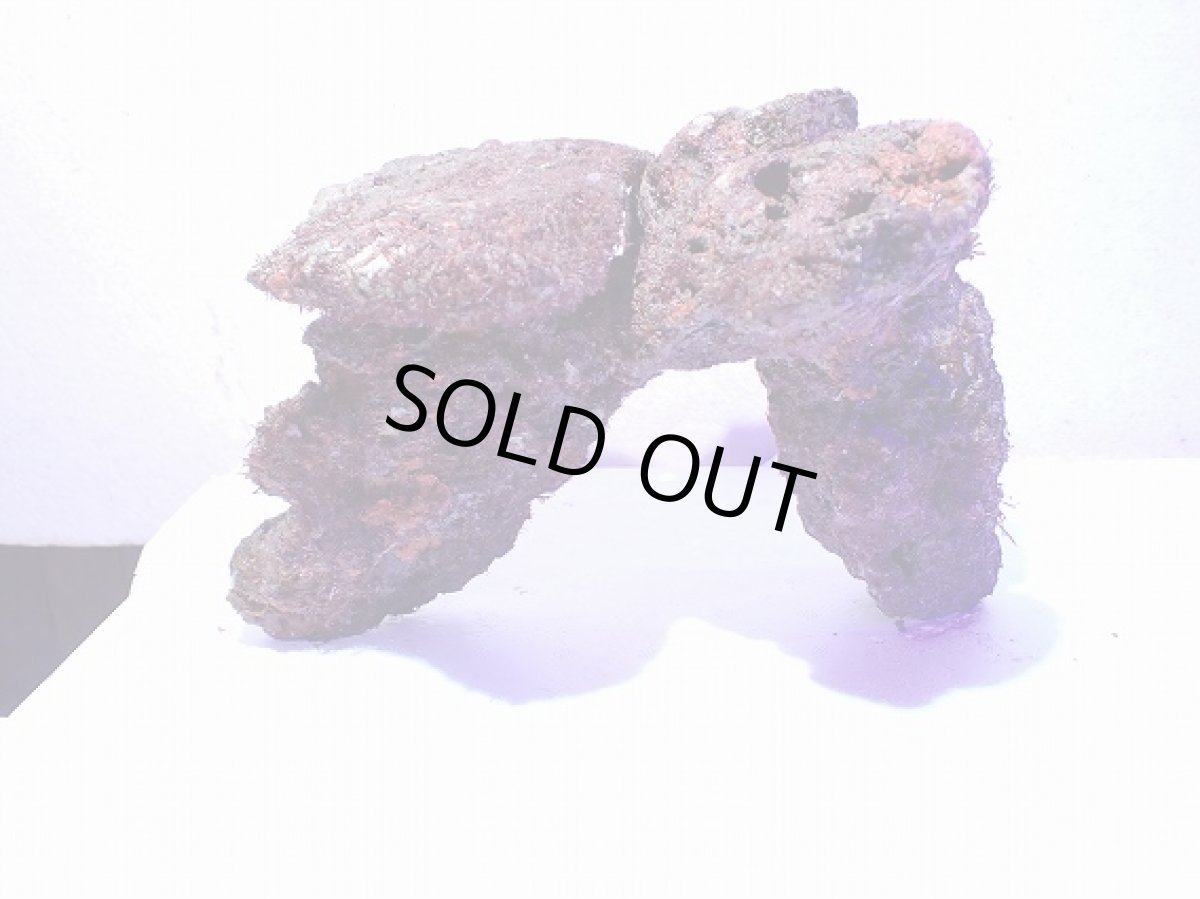 画像1: No.11 ライブロック　二個セット　海藻など付き　約1.9ｋｇ (1)