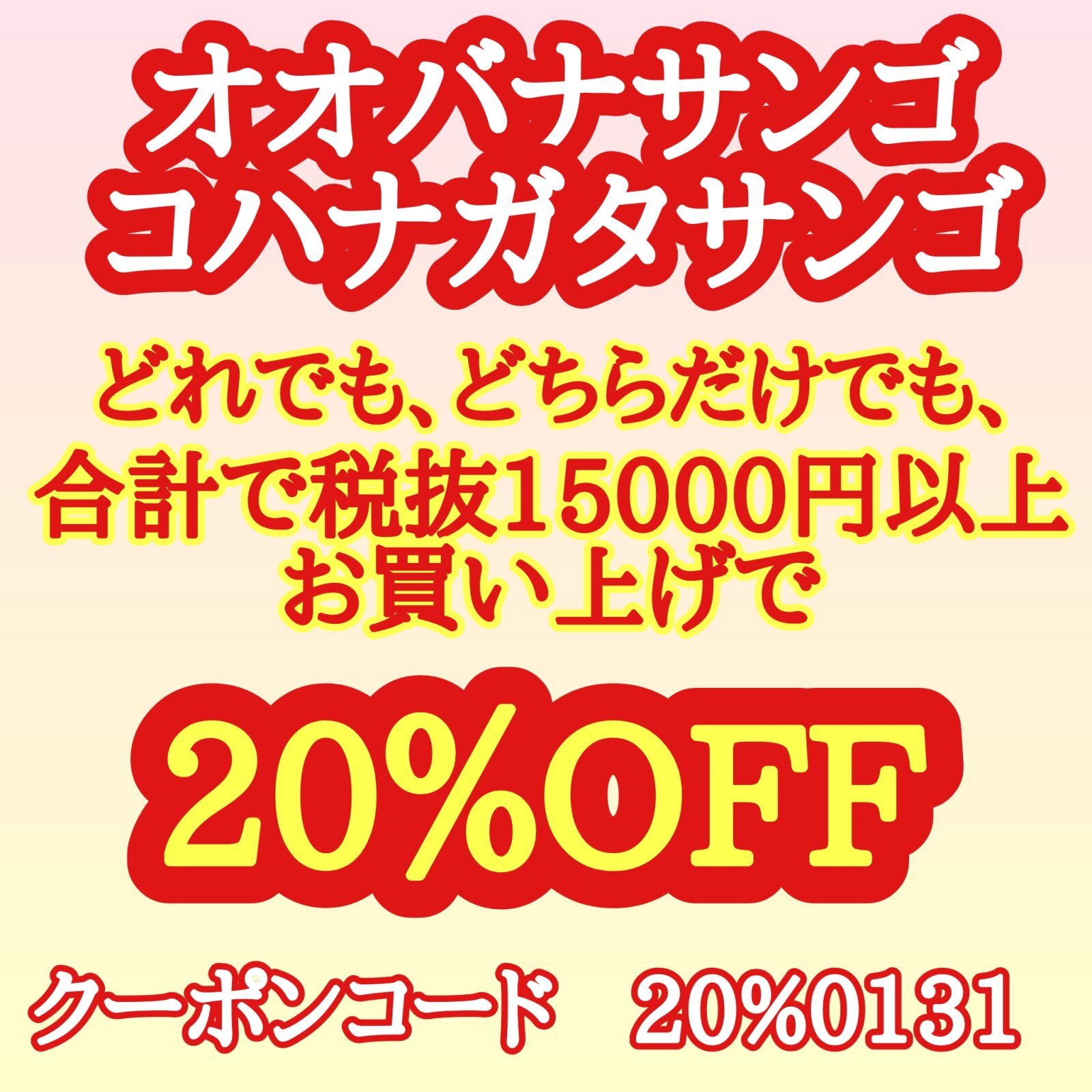 フラワーコーラル　オオバナサンゴ　割引