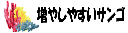 増やしやすいサンゴ