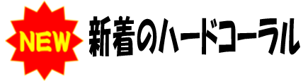 新着のハードコーラル
