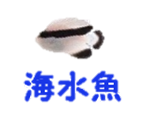 海水魚