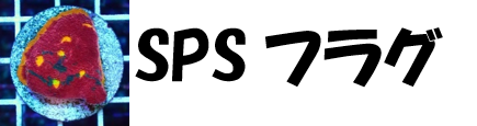 SPSフラグ